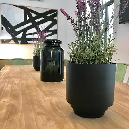 Alameda Exclusive House