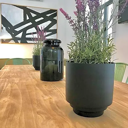 Alameda Exclusive House פארו