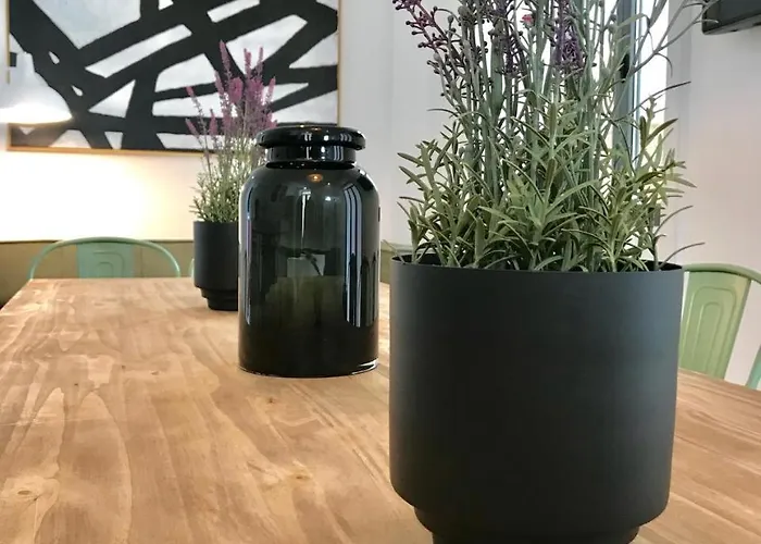 Alameda Exclusive House